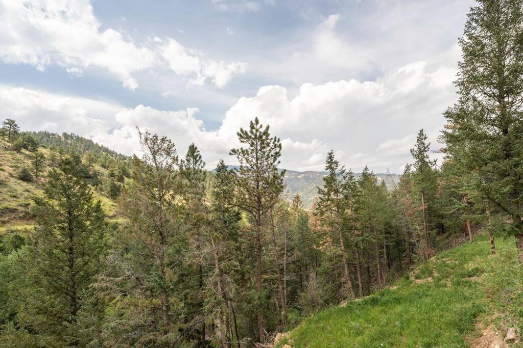 Sodacreek Look-Out .3 Mi From I70 + Hotsprings Idaho Springs Eksteriør bilde